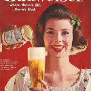 Vintage Beauty Problem Solving Home Remedies Beer
